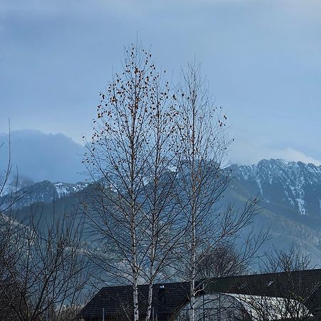 Cabana Bujor De Munte Risnov Bagian luar foto